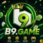 B9 Game