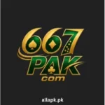 667PAK Game