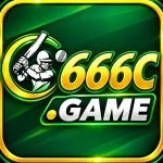 666C